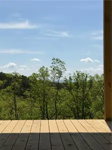 New construction Single-Family house 1521 Azure Ln, Ranger, GA 30734 - image