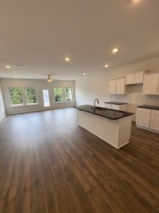 New construction Single-Family house 420 Slugger St, Smyrna, TN 37167 - image 9