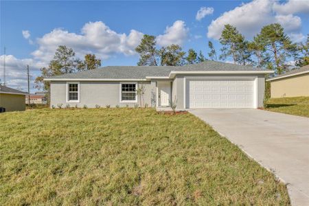 New construction Single-Family house 34 Pecan Run Pass, Ocala, FL 34472 - photo 0