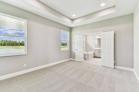 New construction Single-Family house 7571 Painted Sky Place, Land O' Lks, Land O' Lakes, FL 34637 plan Newport II - image 10