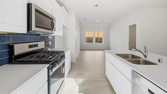 New construction Single-Family house 1321 Hopes Lake Dr, Princeton, TX 75407 - image