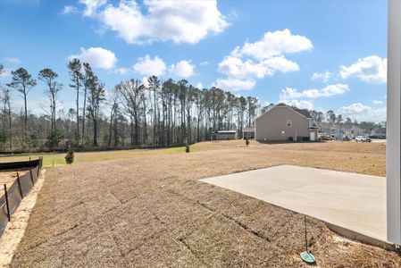 New construction Single-Family house 204 Palfrey Dr, Ridgeville, SC 29472 Davidson- photo 22 22