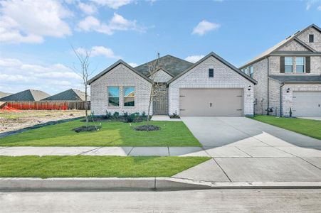 New construction Single-Family house 1509 Etosha Dr, Royse City, TX 75189 plan Pizarro - image