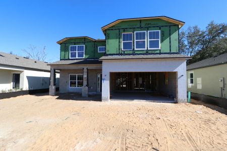 New construction Single-Family house 12008 Hilltop Farms Dr, Dade City, FL 33525 Alenza- photo 40 40