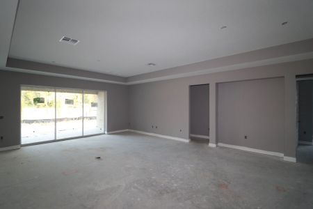 New construction Single-Family house 20243 Oriana Loop, Land O' Lakes, FL 34638 Corina  III Bonus- photo 88 88