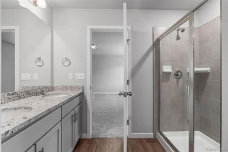 New construction Single-Family house 736 N Carrie Ct, Watkins, CO 80137 - image 4