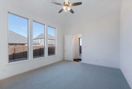 New construction Single-Family house 2036 Grey Birch Pl, Aledo, TX 76008 plan 217 - image 17
