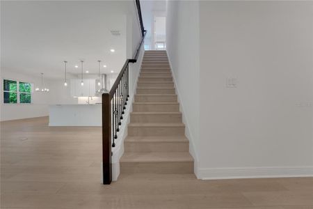 New construction Single-Family house 14249 Crest Palm Ave, Windermere, FL 34786 null- photo 49 49