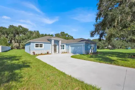 New construction Single-Family house 319 Water Shore Dr, Leesburg, FL 34748 null- photo 1 1