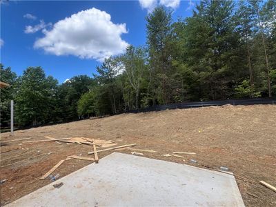 New construction Single-Family house 54 Odgers Trl, Dawsonville, GA 30534 - image