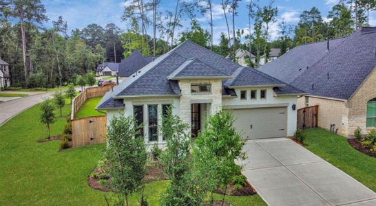 New construction Single-Family house 210 W Netleaf Ct, Montgomery, TX 77316 plan 2474W - image