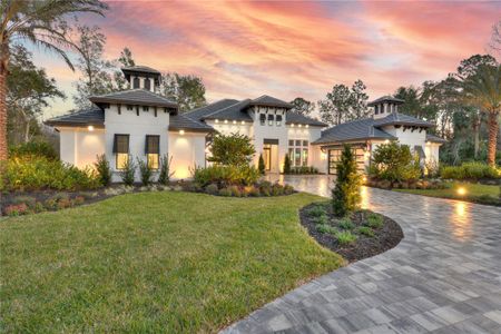 New construction Single-Family house 1829 Adrian Creek Blvd, Port Orange, FL 32128 plan Monaco - image