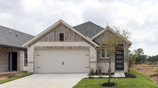 New construction Single-Family house 1004 Joy Mill Pl, Lavon, TX 75166 plan Palmetto - image