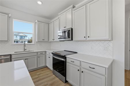 New construction Single-Family house 2007 Wild Heron Ct, Valrico, FL 33596 - image 9