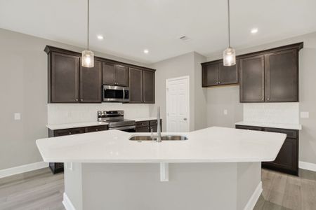 New construction Single-Family house Richmond Hill, GA 31324 plan Hudson - image 5