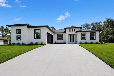 New construction Single-Family house 184 Linder Dr, Homosassa, FL 34446 - image