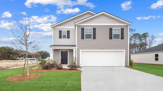 New construction Single-Family house 35 Pollen Dr, Ridgeland, SC 29936 plan Robie - image