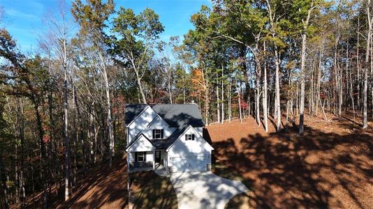 New construction Single-Family house 177 Palomino Drive, Dallas, GA 30157 - photo 29 29