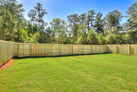 New construction Single-Family house 1089 Speckled Teal Path, Aiken, SC 29803 plan Bondi - image 3
