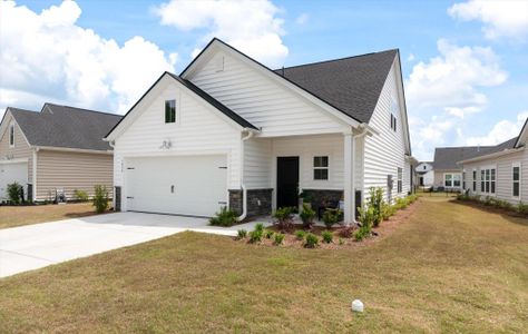 New construction Single-Family house 1059 Grace Field Ave, Summerville, SC 29485 plan Drake - image