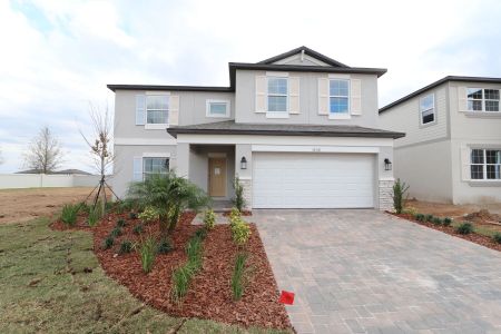 New construction Single-Family house 38350 Tobiano Loop, Dade City, FL 33525 Cabo- photo 109 109