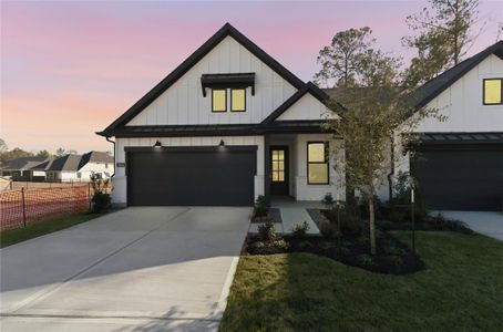 New construction Townhouse house 9110 Petroglyph Point Ct, Porter, TX 77365 - image