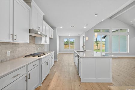 New construction Single-Family house 176 Janice, Castroville, TX 78009 - image 3