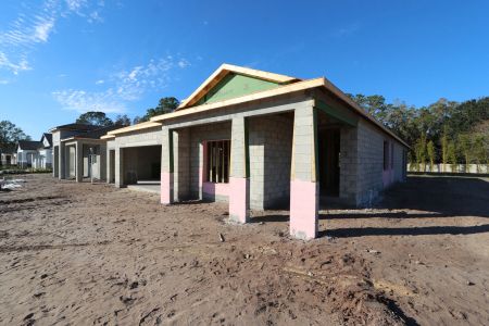 New construction Single-Family house 20267 Oriana Loop, Land O' Lakes, FL 34638 Newport II Bonus- photo 16 16