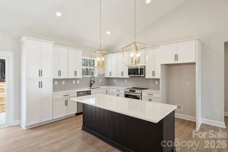 New construction Single-Family house 2271 Lee Lawing Rd, Lincolnton, NC 28092 - image 12