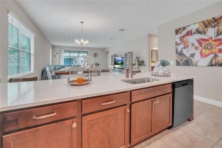 New construction Single-Family house 12591 Vander Wy, New Port Richey, FL 34654 - image 10