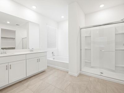 New construction Single-Family house 32899 Vineyard Ave, San Tan Valley, AZ 85143 plan Lark - image