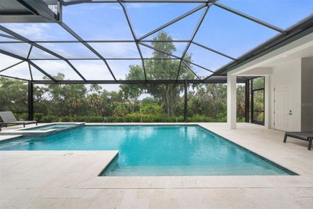 New construction Single-Family house 11721 Rive Isle Run, Parrish, FL 34219 - image 4