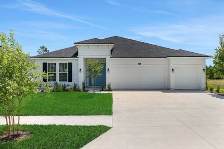 New construction Single-Family house 29 Windmill Palm Wy, Palm Coast, FL 32164 plan Avalon - image
