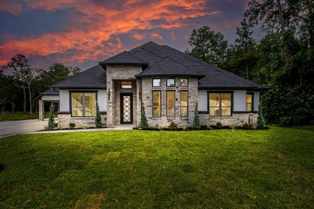 New construction Single-Family house 102 County Rd 66111, Dayton, TX 77535 null- photo 0