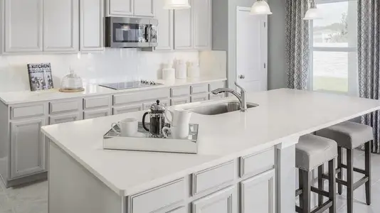 New construction Single-Family house 1198 Port Blue Wy, Lady Lake, FL 32159 plan Hadley Bay - image