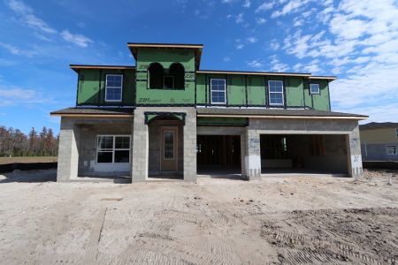 New construction Single-Family house 31222 Hayman Loop, Wesley Chapel, FL 33545 Windsor- photo 56 56