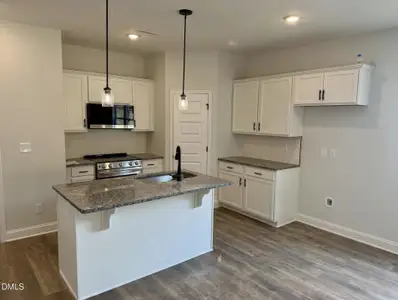 New construction Single-Family house 300 Bluejay St, Clayton, NC 27527 - image 3
