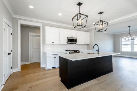 New construction Single-Family house 7038 Ooltewah-Georgetown Rd, Ooltewah, TN 37363 plan Carolina A - image 8