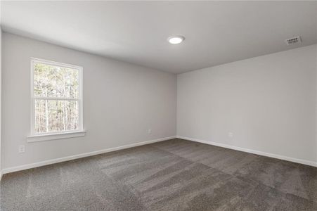 New construction Single-Family house 693 Shoals Trl, Dallas, GA 30132 plan Braydon - image 20