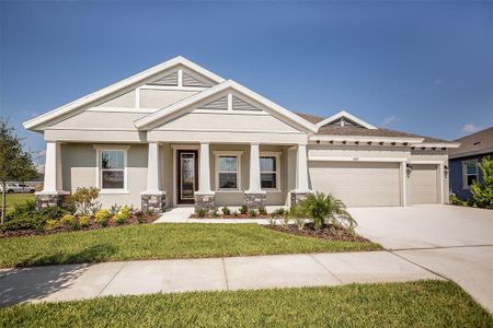 New construction Single-Family house 6257 Hidden Branch Dr, Apollo Beach, FL 33572 Key West- photo 0 0