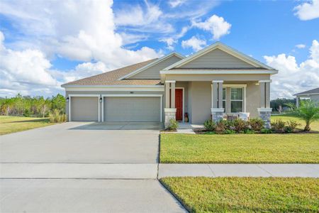 New construction Single-Family house 6115 Claystone Way, Mount Dora, FL 32757 - photo 0