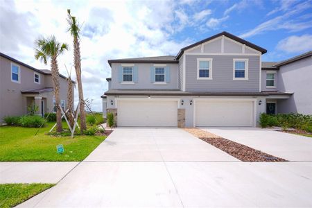 New construction Townhouse house 10059 Trumpet Honeysuckle Wy, San Antonio, FL 33576 - image