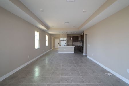 New construction Single-Family house 38357 Palomino Dr, Dade City, FL 33525 Picasso Bonus- photo 17 17