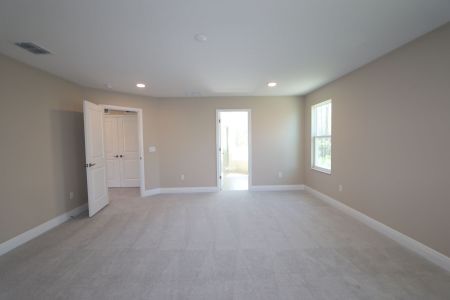 New construction Single-Family house 20125 Oriana Loop, Land O' Lakes, FL 34638 Santina II- photo 180 180