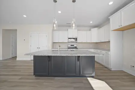 New construction Single-Family house 220 Silk Oak Dr, Moncks Corner, SC 29461 plan Ellerbe - image 4