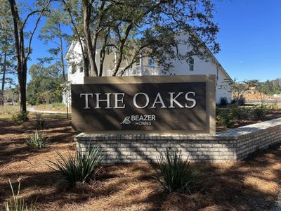 New construction Single-Family house 162 Middleton Dr, Goose Creek, SC 29445 Cottonwood- photo 11 11