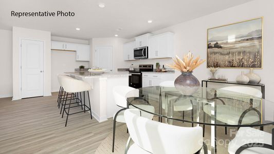 New construction Single-Family house 1036 Horizon Ln, Chester, SC 29706 plan Darwin - image 10