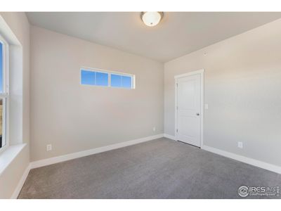 New construction Single-Family house 6793 Maple Leaf Dr, Unit 202, Timnath, CO 80547 plan Monarch - image 17