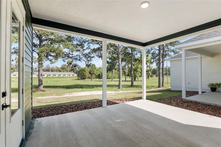 New construction Single-Family house 1151 Nw 132Nd Boulevard, Newberry, FL 32669 - photo 42 42