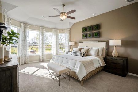 Rodeo Palms - The Lakes by Princeton Classic Homes in Manvel - photo 11 11